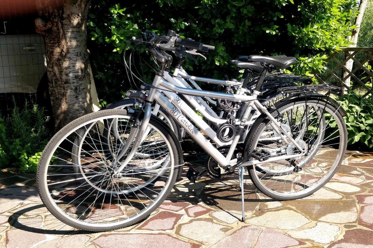 דירות 36 קאטוליקה מראה חיצוני תמונה